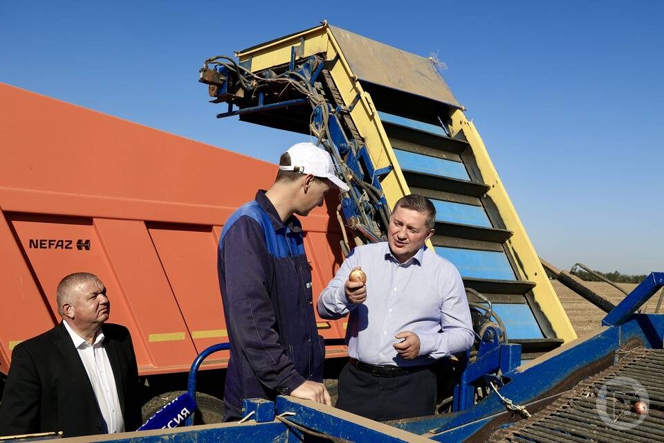    Фото: Дмитрий Рогулин / "Городские вести"