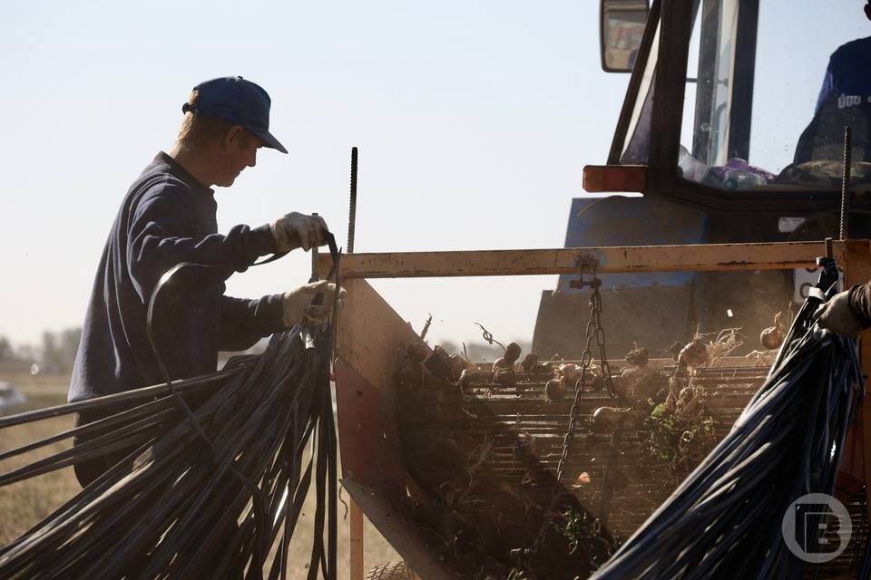    Фото: Дмитрий Рогулин / "Городские вести"