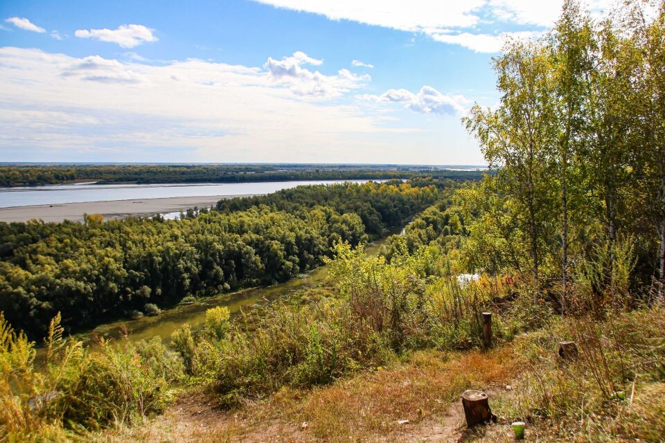    Барнаульский дендрарий в сентябре. Источник: Виталий Барабаш