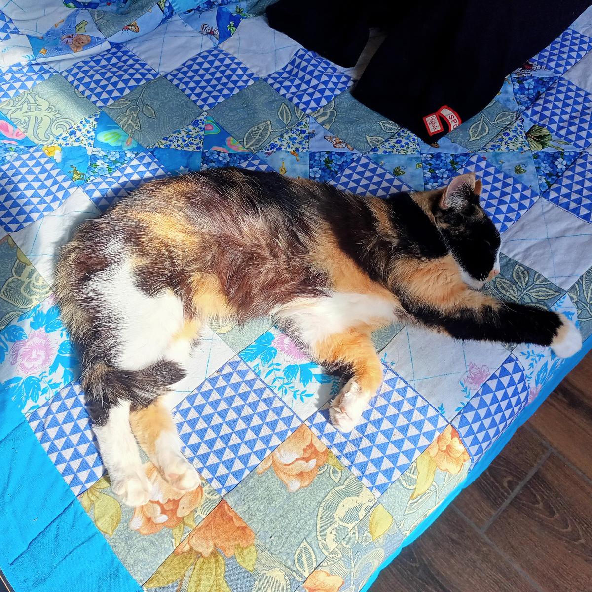 Меня на моей кровати на новом покрывале