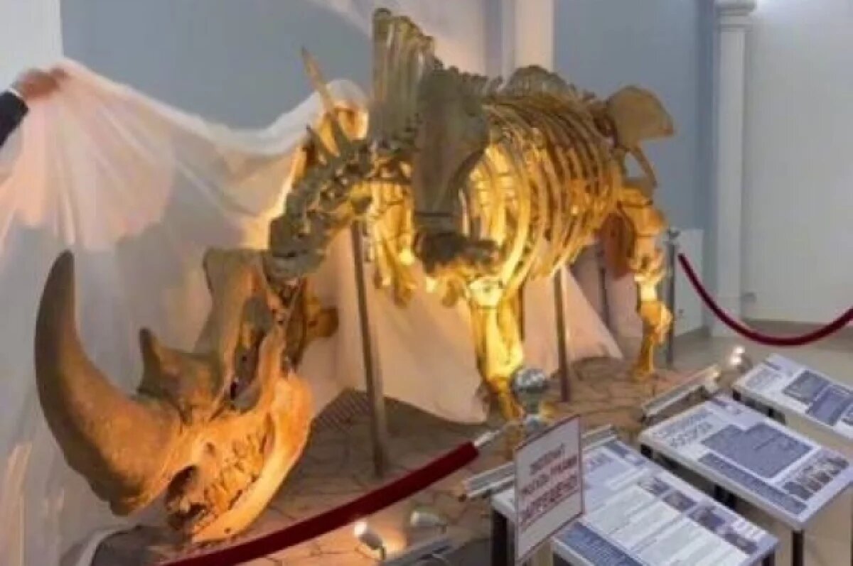    В Ростовском зоопарке появился новый необычный экспонат