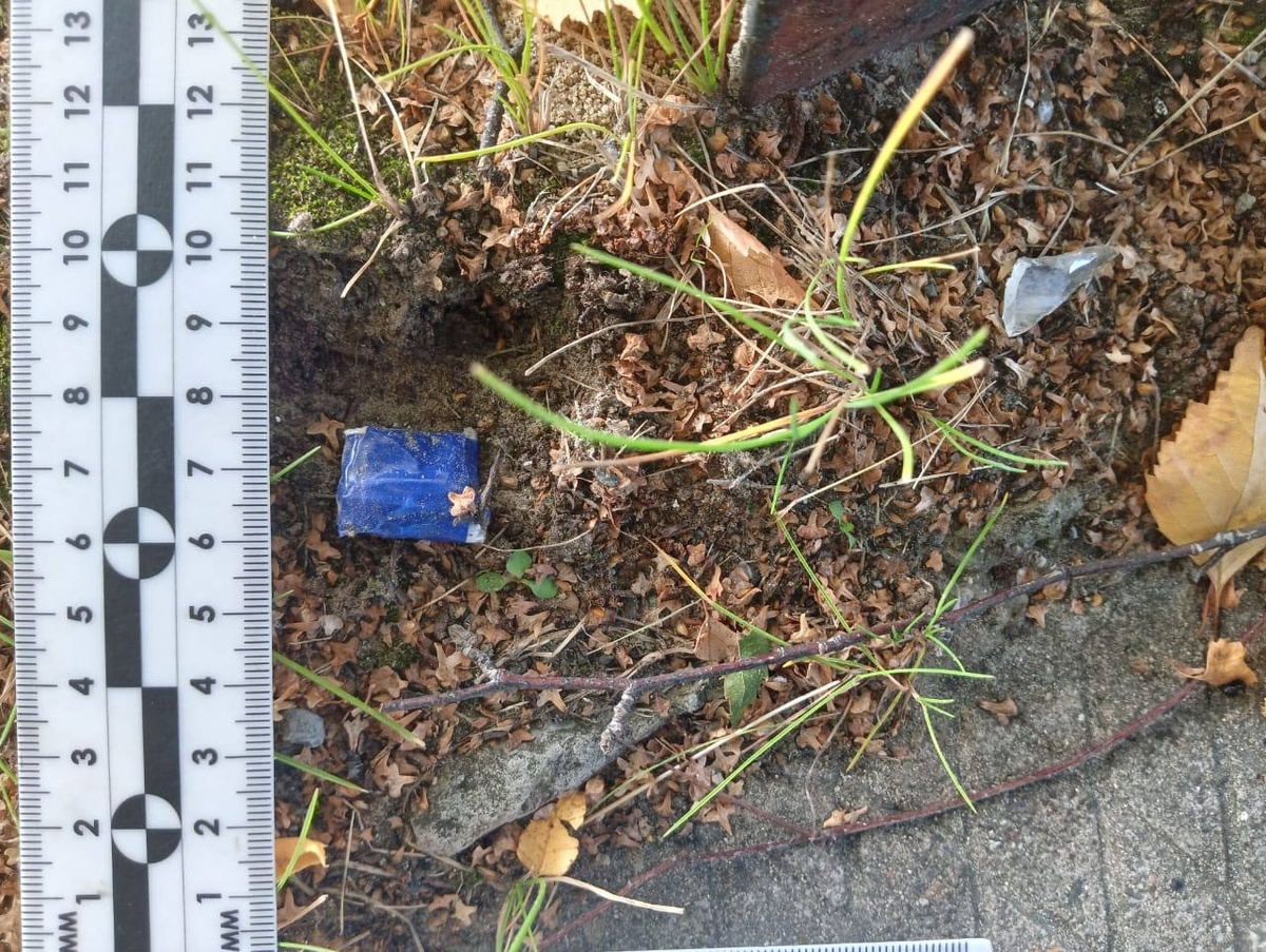    В Нягани задержан иностранец с 160 граммами синтетического наркотика