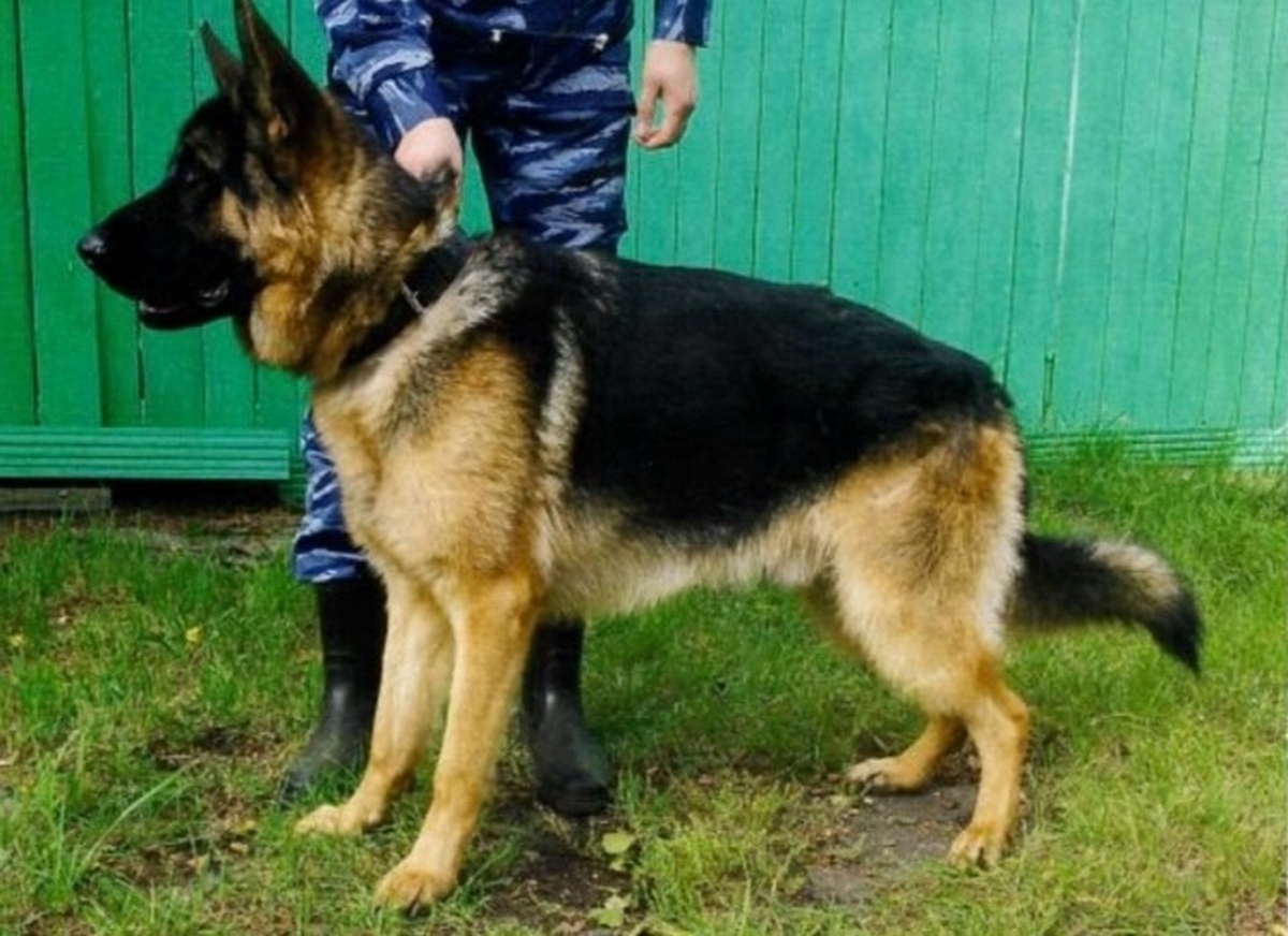    Фото: vk.com/utcfo