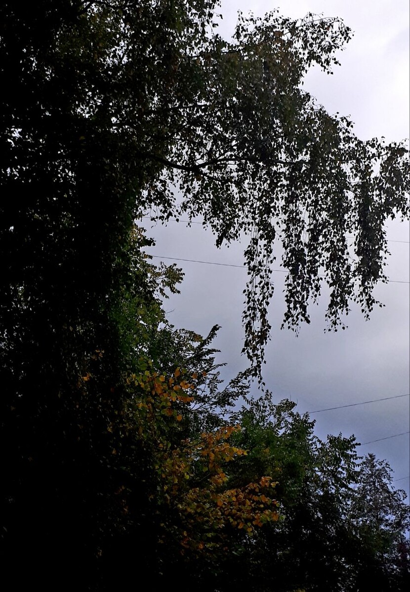 Фото автора статьи 23.09.2025г