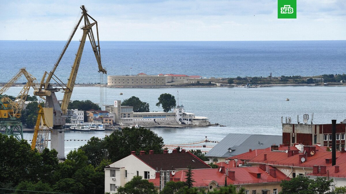    Фото: РИА Новости © 2025, Константин Михальчевский