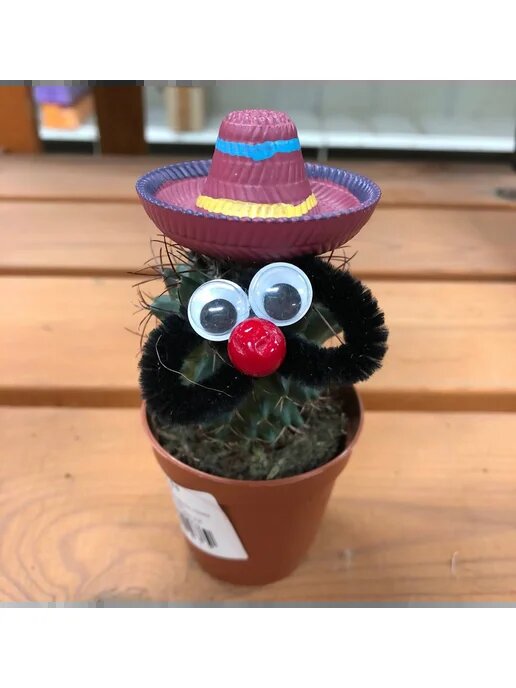 Клинт. Следит за порядком на подоконнике. 🤠