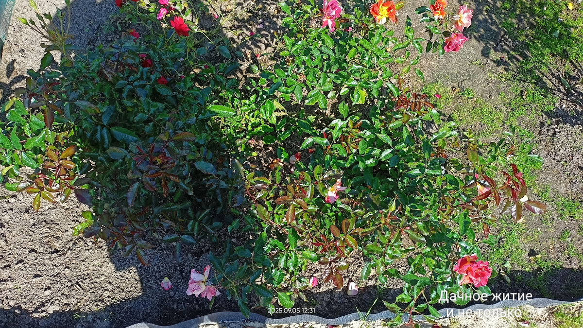 Это вид сверху 