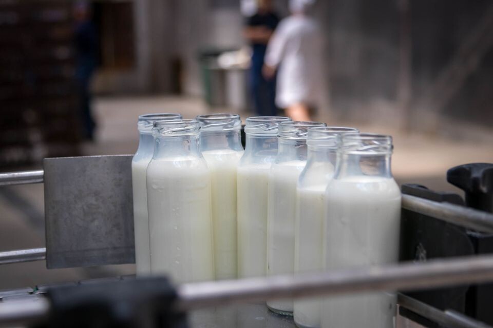    Молоко. Источник: Из архива редакции