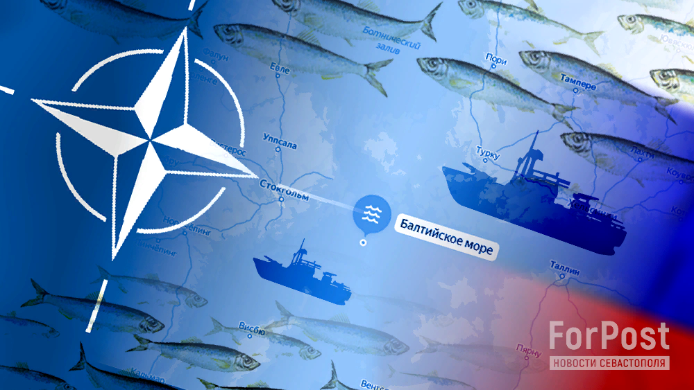 Кто на самом деле провоцирует конфликт — Москва или соседи? Коллаж ForPost