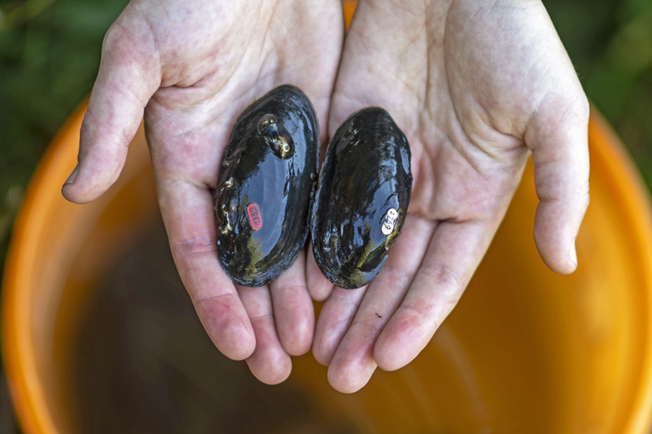    Hendrik Schmidt/dpa/Global Look Press