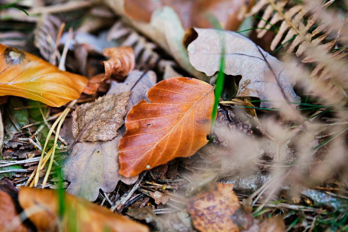 Фото: Rodion Kutsaiev / Unsplash