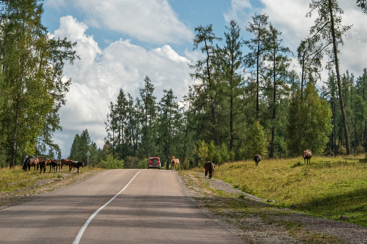 фото из окна машины на вытянутой руке