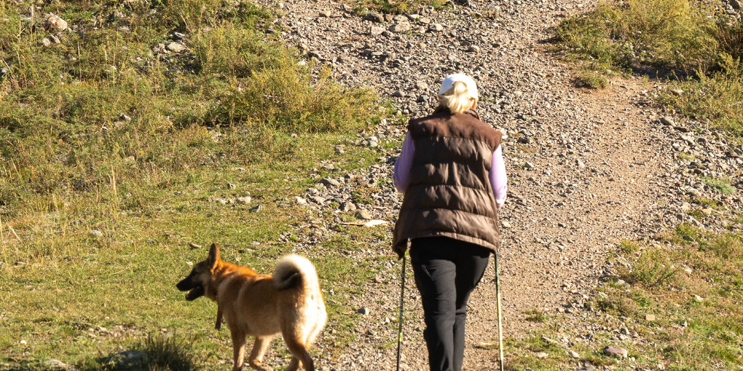 Наш алтайский маршрут на две недели