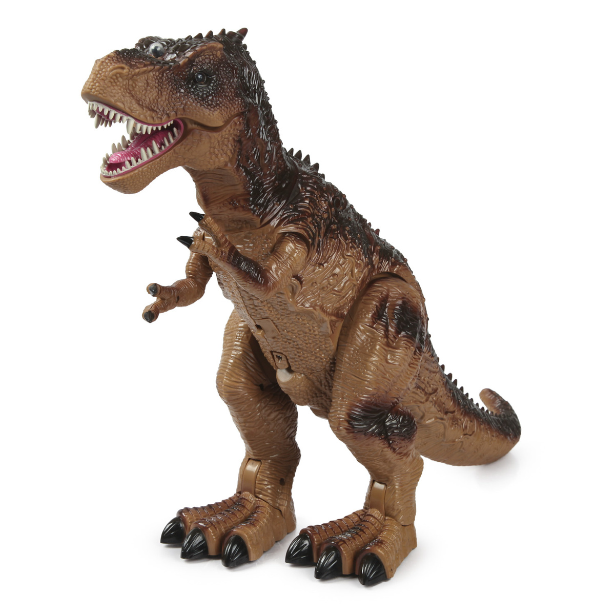 Наш сегодняшний герой, Рекс.