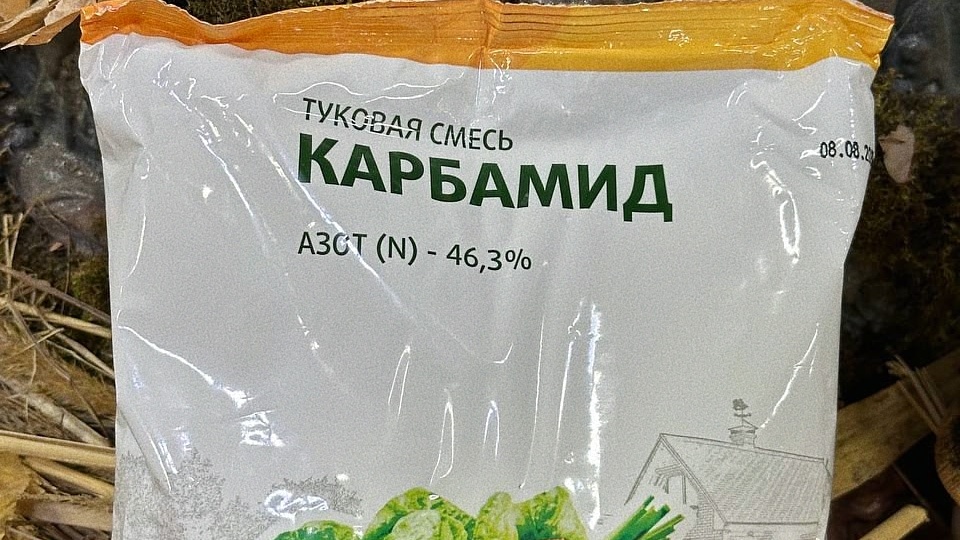 🌱 Карбамид (мочевина): как использовать удобрение осенью и весной