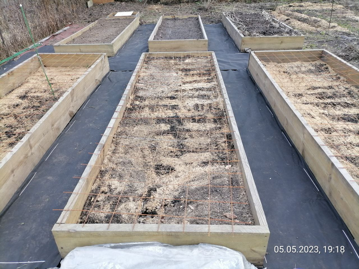 Эти тропинки застелила осенью 2022 г. и в 2025-м они целые, ни одной прорехи, плотность 160, фото автора