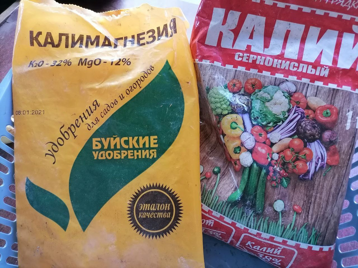 Калийные удобрения разбрасываю под растения в период цветения и роста плодов