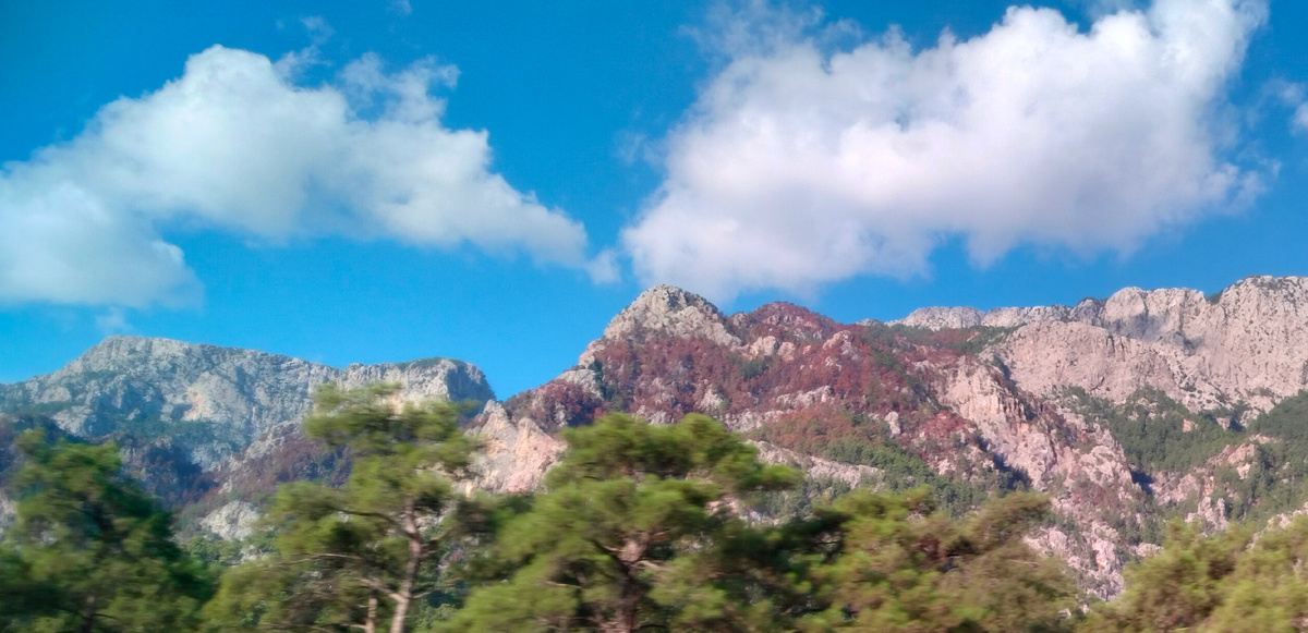 Слепой закат догорел и замер,И, вновь худобу кляня свою,Зеленый поезд виляет задом,А я с моста на него плюю. В.Ланцберг