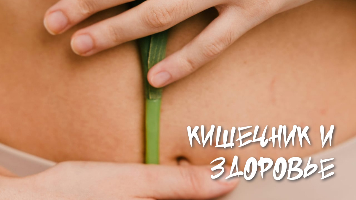 Микрофлора кишечника и ожирение