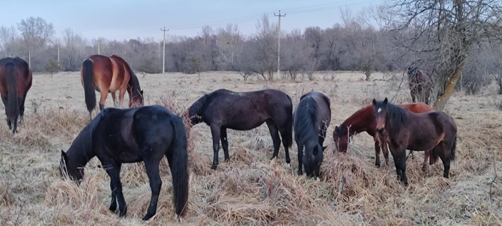    Фото: В курсе.ру Ульяна Бажанова