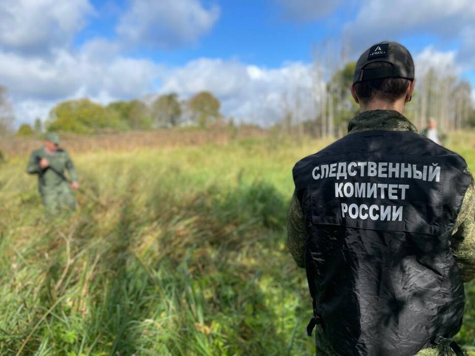 Под Псковом обнаружено захоронение времен войны
Фото: Участники проекта «Без срока давности»