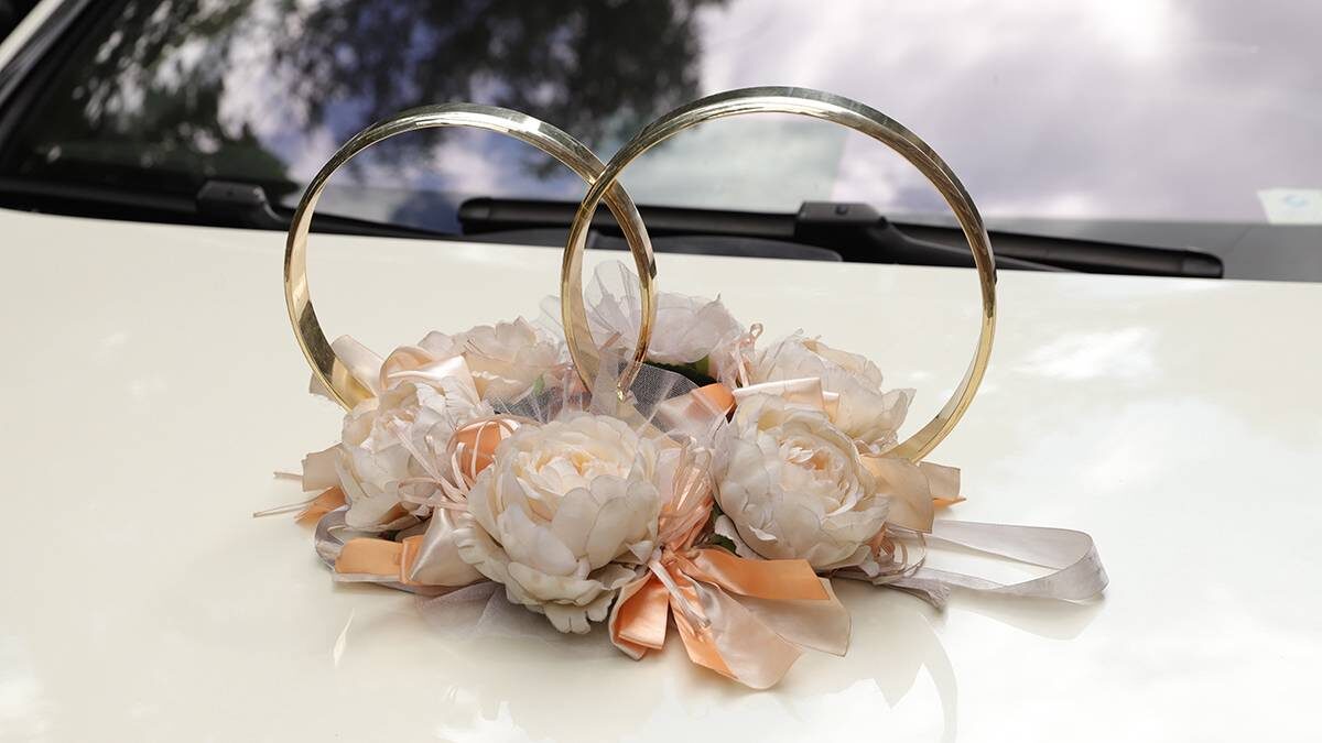    Фото: Анатолий Цымбалюк / Вечерняя Москва