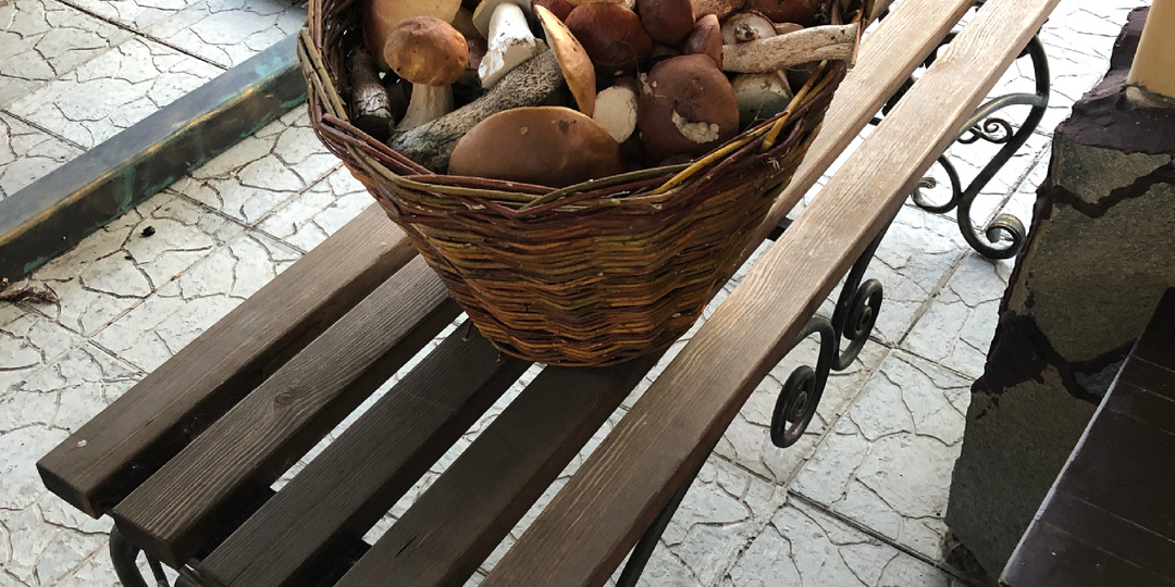 Грибница по- сибирски: 5 секретов от сибирячки