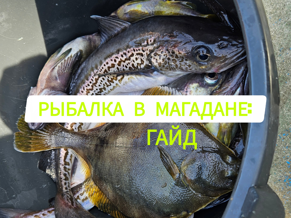 Рыбалка в Магадане