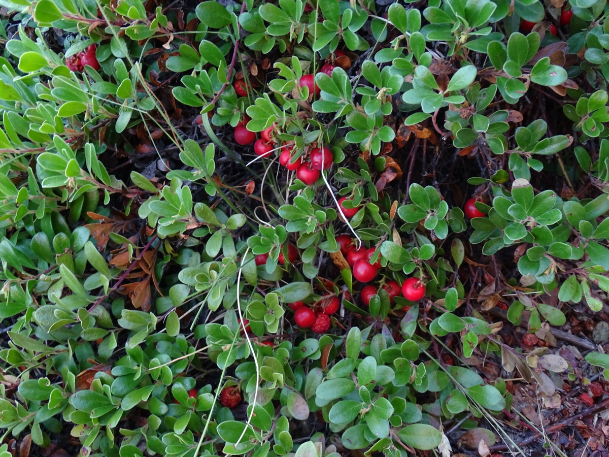 «Мисс скромница» собственной персоной