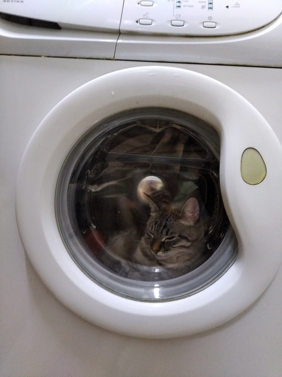    Зачем некоторые хозяйки выворачивают одежду наизнанку перед стиркой - так ли это нужно