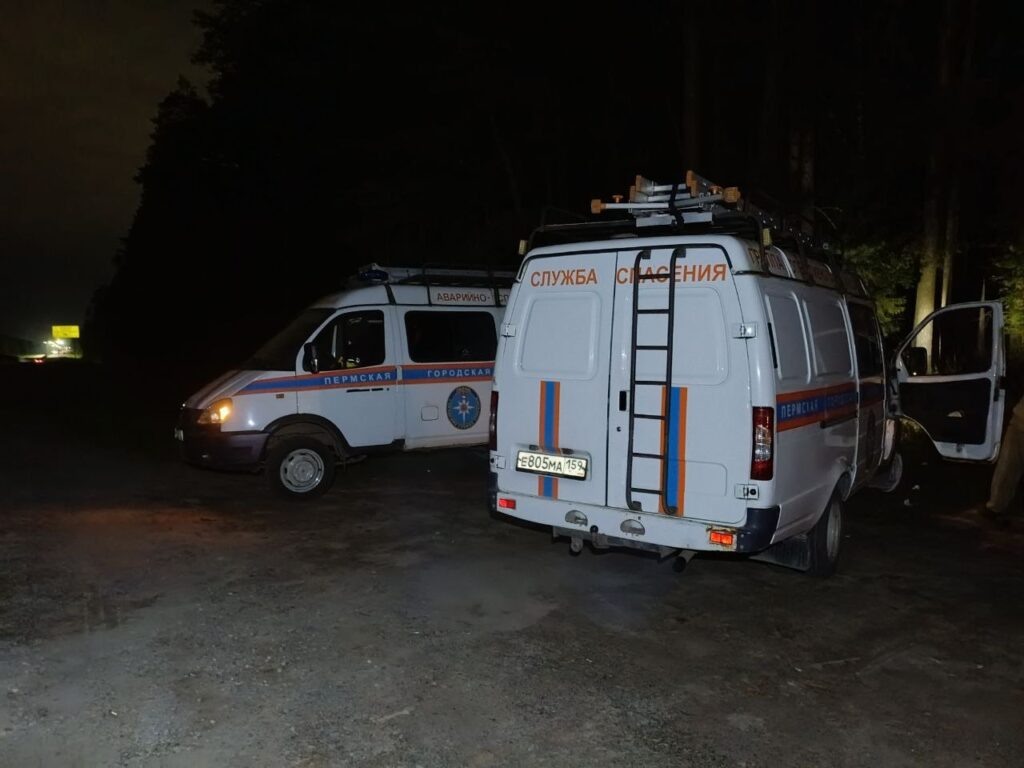    Фото: Городская служба спасения Перми Полина Анкушина