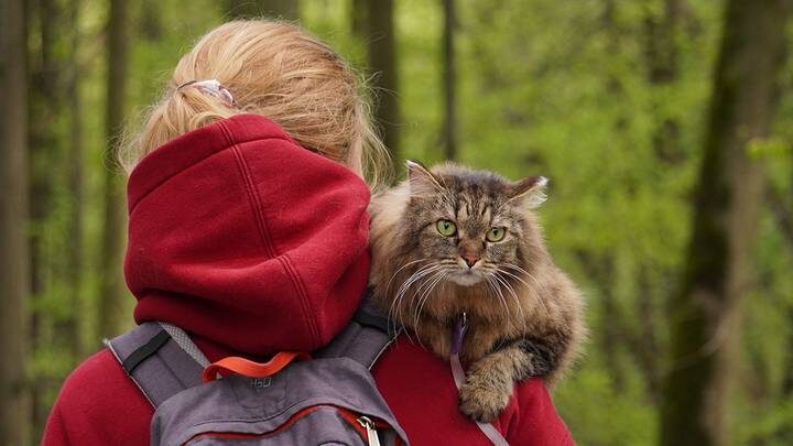  Фото: Анатолий Цымбалюк / Вечерняя Москва