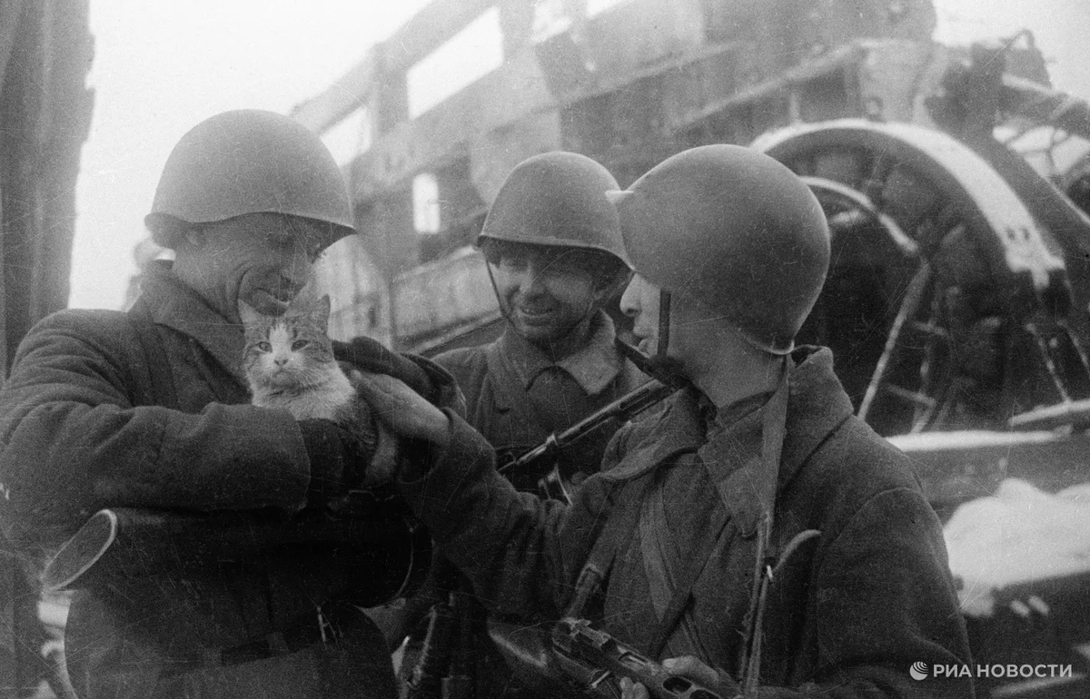 Фото: РИА Новости / Яков Рюмкин