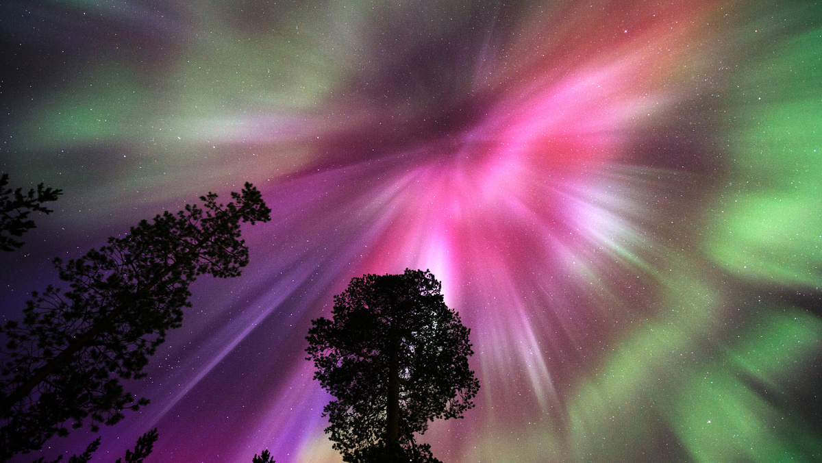     Фото: Erkki Makkonen/Shutterstock/FOTODOM Исследования, проведенные в последние годы, показывают, что во время сильных геомагнитных возмущений число мигрирующих птиц сокращается примерно на 10%