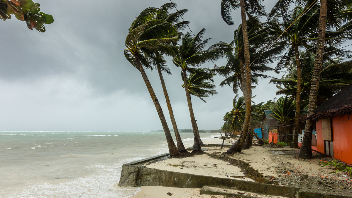     Фото: Richard Whitcombe/Shutterstock/FOTODOM Особенно опасны для мигрирующих птиц тропические циклоны и ураганы, которые могут переносить пернатых на огромные расстояния