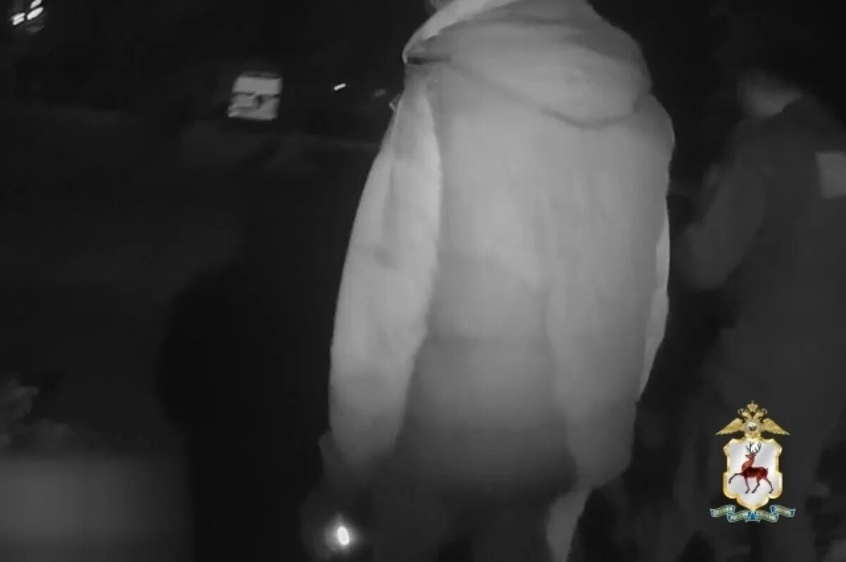    Видео с нижегородцем, укравшим сумку у женщины, опубликовала полиция