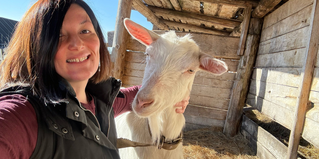 Нога в беде: как распознать и вылечить бурсит у вашей козы