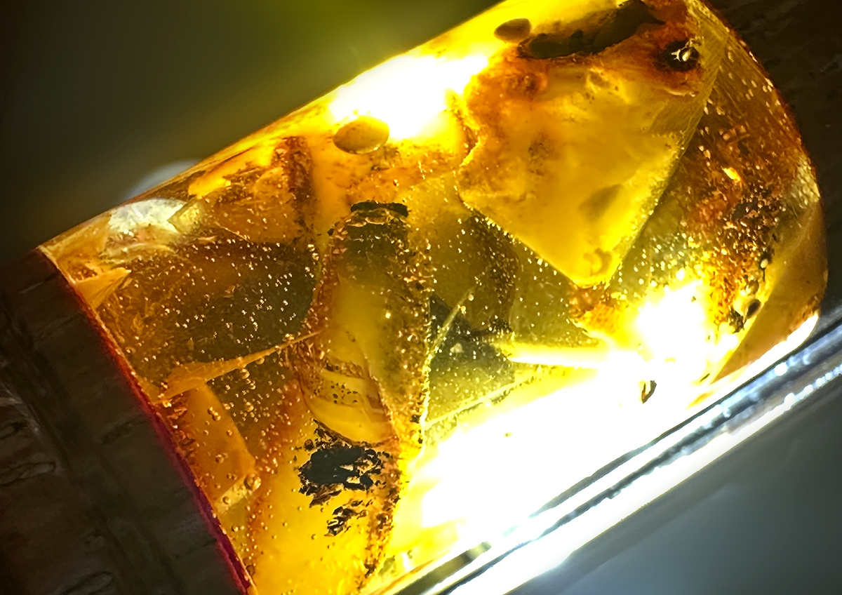 Фото © «Московская газета»