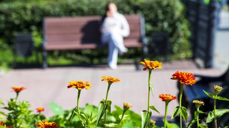     Осень в Барнауле. Природа Анна Зайкова
