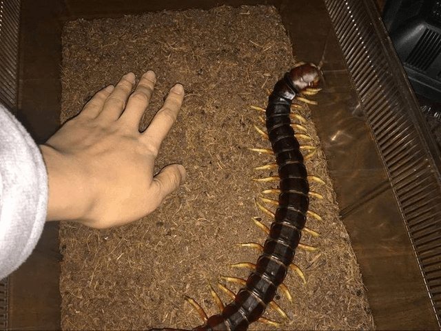 Фото из интернета 