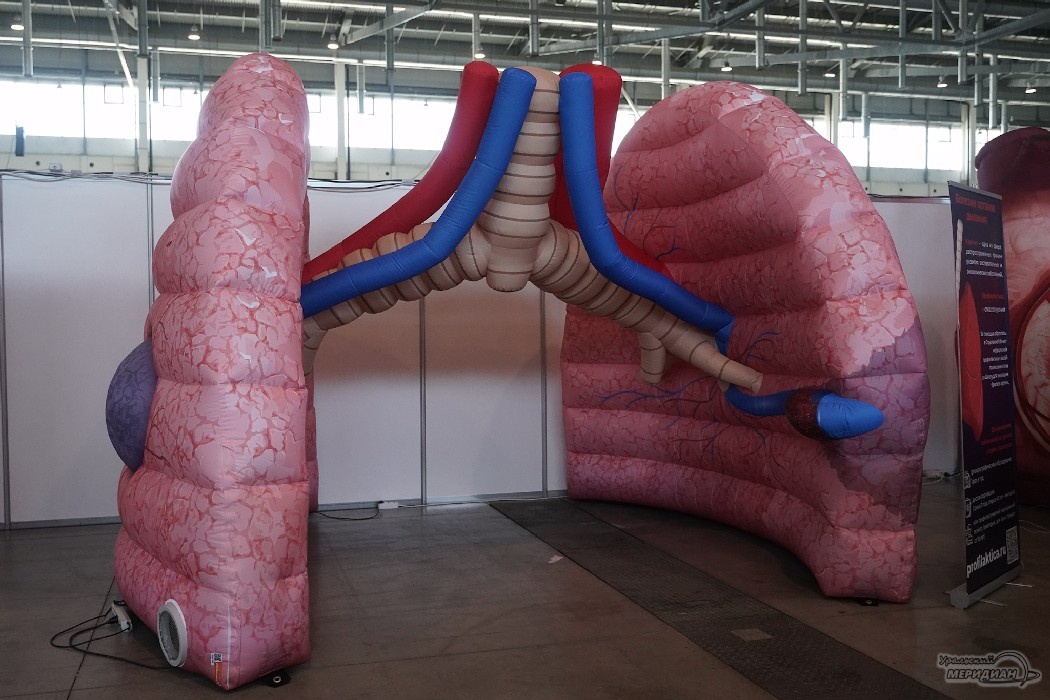    Фото: Лидия Аникина © ИА «Уральский меридиан»