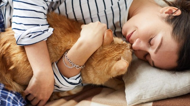 Стало известно, как кошки меняют работу нашего организма