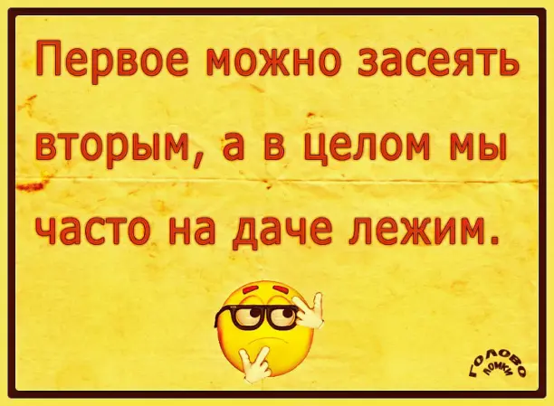 Загадка в рифмах: разгадай весёлую шараду 🧩