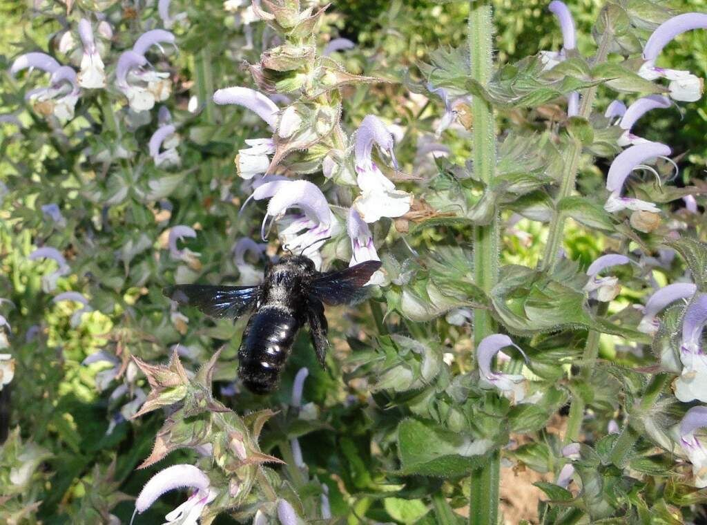    Фото Светланы Жердевой