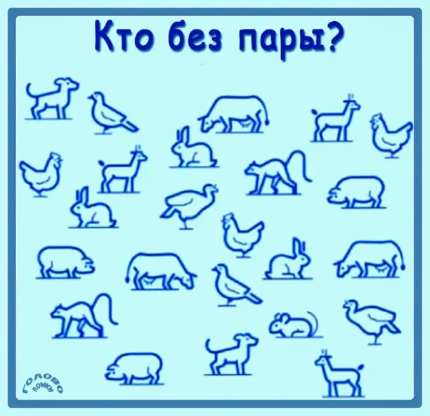 Экспресс-головоломка: найди одинокое животное 🦄