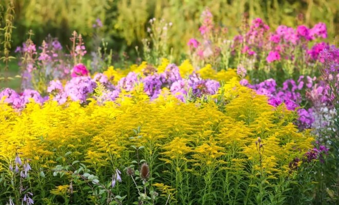 Источник фото: shutterstock.com