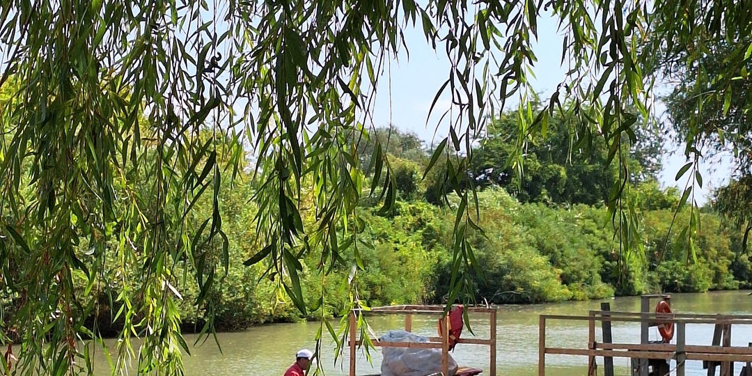 Лотосы в Ахтанизовском лимане и немного про Анапу