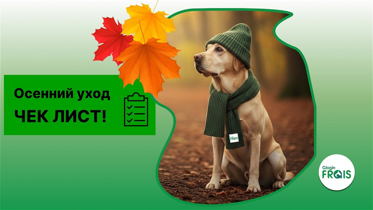Чек-лист поможет обеспечить здоровье и комфорт питомца в осенний период: