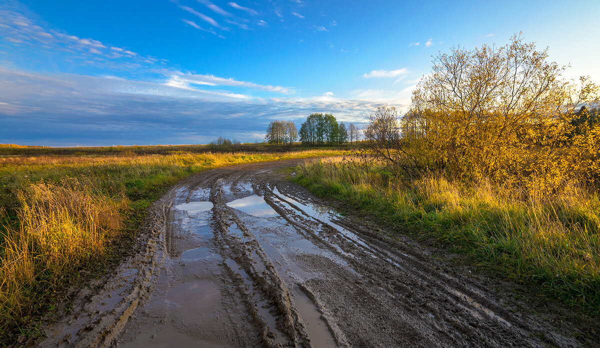 Фото: Яндекс.Картинки
