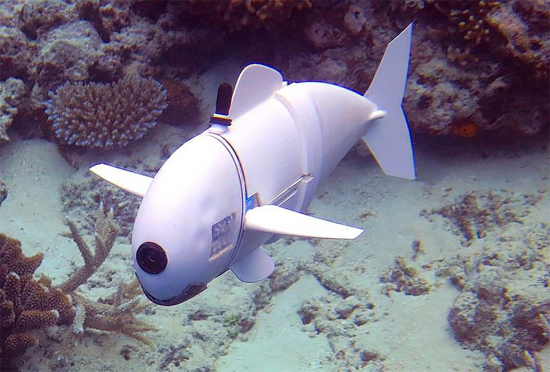 Робот-рыба исследует рифы на Фуджи. Источник: i0.wp.com
